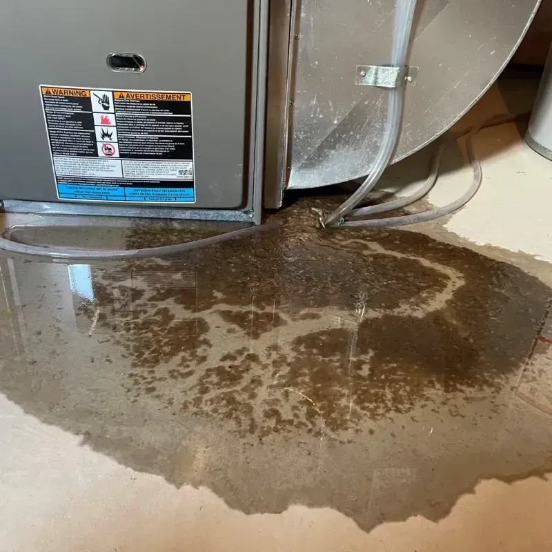 Appliance Leak Cleanup in Wilkes County, NC